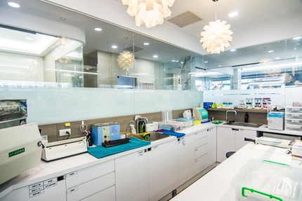 真愛美學牙醫診所