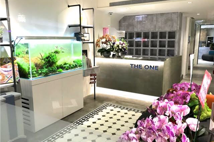 郭嫚茹與她的一心牙醫診所